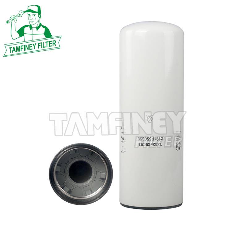 Oil Filter LF9025 BD7250 57744XD 1841606C1 1842639C92